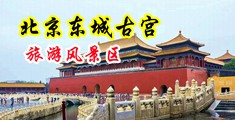 射她淫p网中国北京-东城古宫旅游风景区