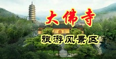 肏你小穴在线观看中国浙江-新昌大佛寺旅游风景区
